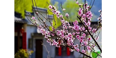阳春三月，尊龙凯时一大波展会即将来袭，您准备好了吗？