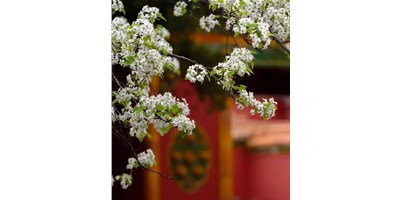 【展会资讯】尊龙凯时5月展会一览，等您来参观！